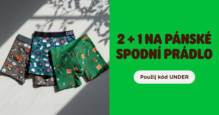  2 + 1 na pánské spodní prádlo